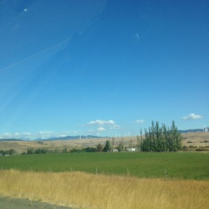 Fields of central Washington with mountains in the distance.