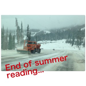 Snowplow along Wolf Creek Pass.