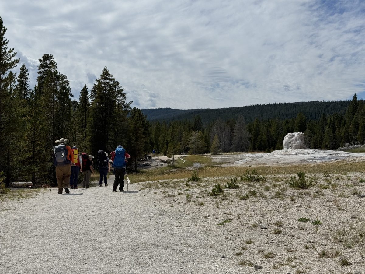 SEPTEMBER NEWSLETTER-Adventures in Yellowstone National Park & huckleberry&nbsp;treats!